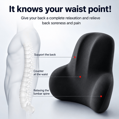 SpineEase Lumbar Cushion