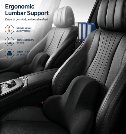 SpineEase Lumbar Cushion