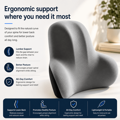 SpineEase Lumbar Cushion