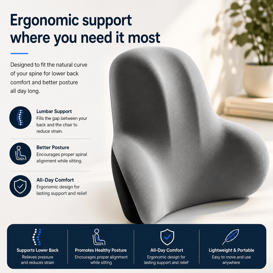 SpineEase Lumbar Cushion